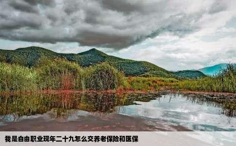 我是自由职业现年二十九怎么交养老保险和医保