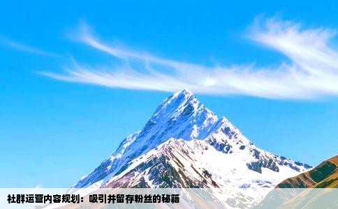 社群运营内容规划：吸引并留存粉丝的秘籍