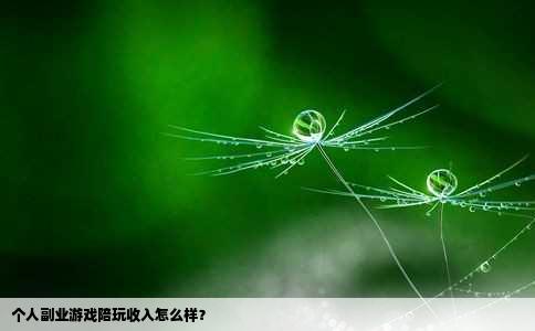个人副业游戏陪玩收入怎么样？