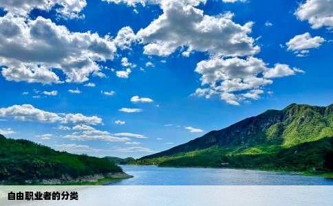 自由职业者的分类