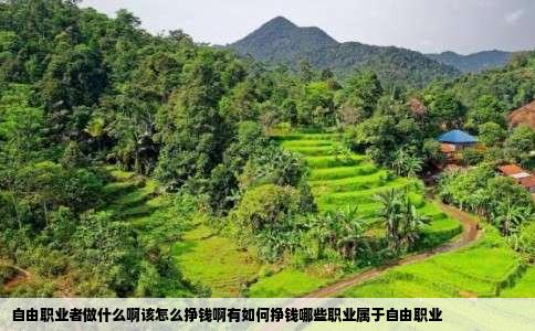 自由职业者做什么啊该怎么挣钱啊有如何挣钱哪些职业属于自由职业