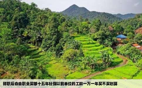 辞职后自由职业买够十五年社保以前单位的工龄一万一年买不买划算
