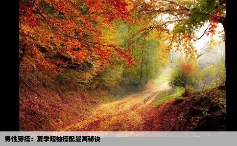 男性穿搭：夏季短袖搭配显高秘诀