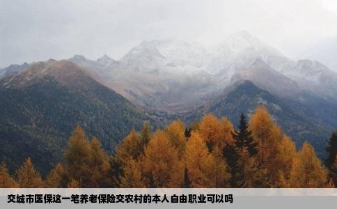 交城市医保这一笔养老保险交农村的本人自由职业可以吗