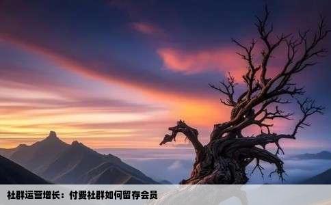 社群运营增长：付费社群如何留存会员