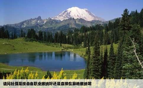 请问社保是按自由职业缴纳好还是直接在异地缴纳呢