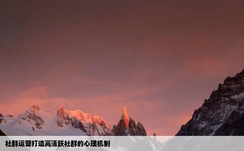 社群运营打造高活跃社群的心理机制