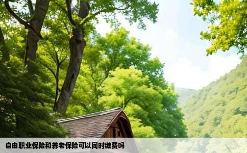 自由职业保险和养老保险可以同时缴费吗