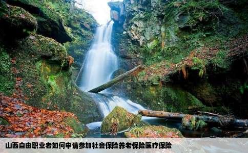 山西自由职业者如何申请参加社会保险养老保险医疗保险
