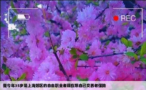 我今年35岁是上海郊区的自由职业者现在想自己交养老保险