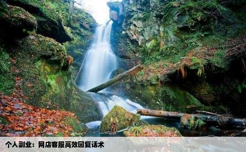 个人副业：网店客服高效回复话术