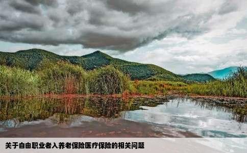 关于自由职业者入养老保险医疗保险的相关问题
