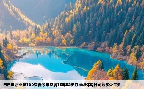 自自由职业按100交费今年交满15年52岁办理退休每月可领多少工资