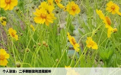 个人副业：二手翻新盈利流程解析