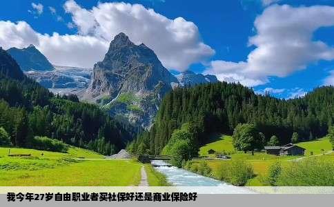 我今年27岁自由职业者买社保好还是商业保险好