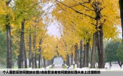 个人离职后如何缴纳社保2自由职业者如何缴纳社保从未上过保险的