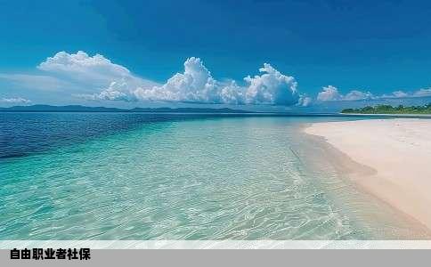 自由职业者社保