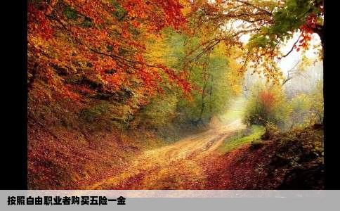 按照自由职业者购买五险一金