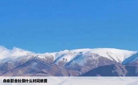 自由职业社保什么时间缴费
