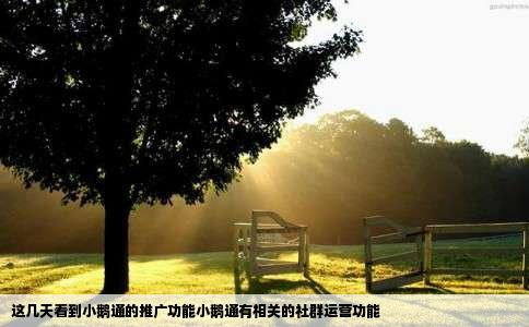 这几天看到小鹅通的推广功能小鹅通有相关的社群运营功能