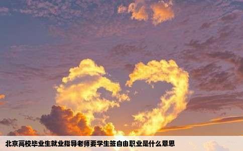 北京高校毕业生就业指导老师要学生签自由职业是什么意思