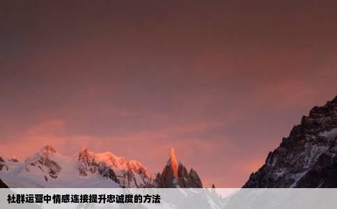 社群运营中情感连接提升忠诚度的方法