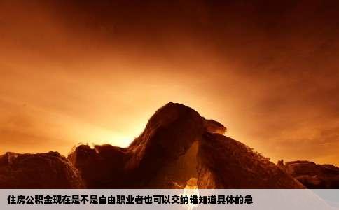 住房公积金现在是不是自由职业者也可以交纳谁知道具体的急