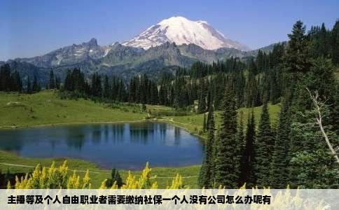 主播等及个人自由职业者需要缴纳社保一个人没有公司怎么办呢有