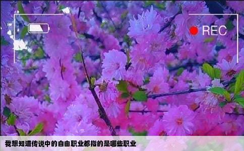 我想知道传说中的自由职业都指的是哪些职业