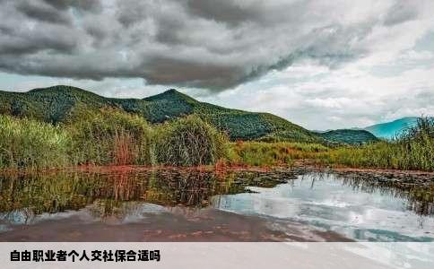 自由职业者个人交社保合适吗