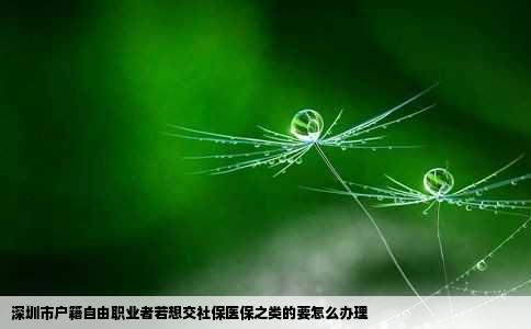 深圳市户籍自由职业者若想交社保医保之类的要怎么办理