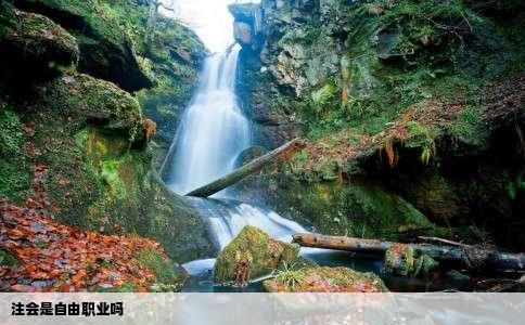 注会是自由职业吗