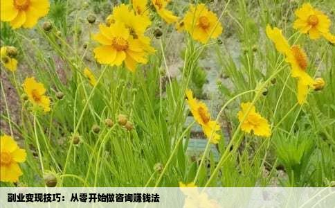 副业变现技巧：从零开始做咨询赚钱法