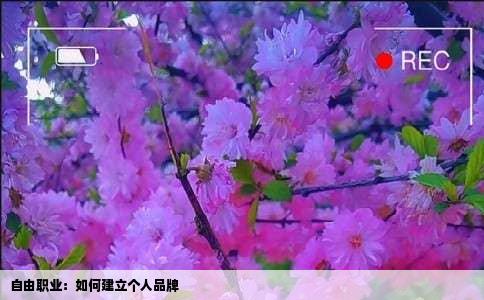 自由职业：如何建立个人品牌