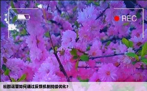 社群运营如何通过反馈机制持续优化？