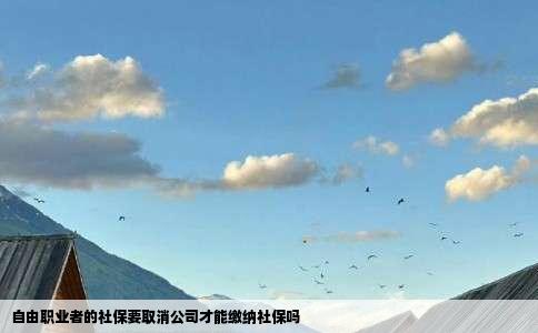 自由职业者的社保要取消公司才能缴纳社保吗