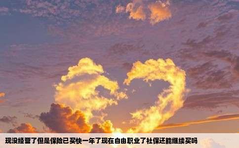 现没经营了但是保险已买快一年了现在自由职业了社保还能继续买吗