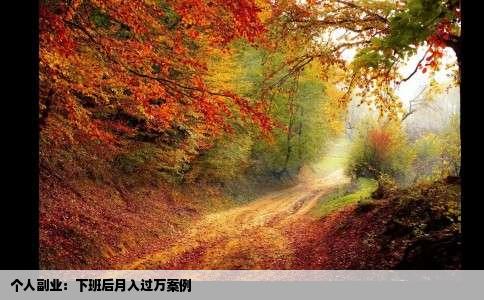 个人副业：下班后月入过万案例