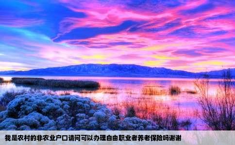 我是农村的非农业户口请问可以办理自由职业者养老保险吗谢谢