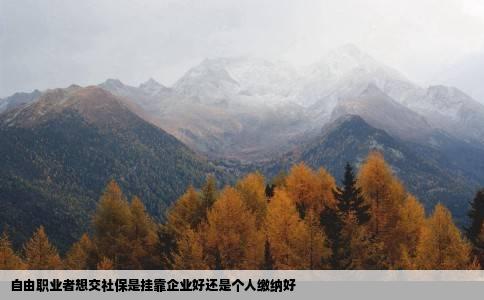 自由职业者想交社保是挂靠企业好还是个人缴纳好
