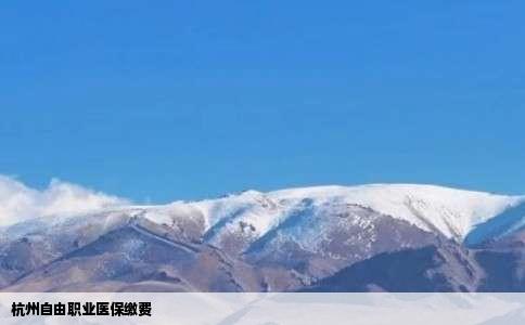 杭州自由职业医保缴费
