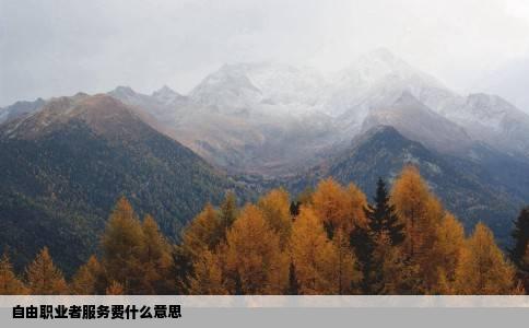 自由职业者服务费什么意思