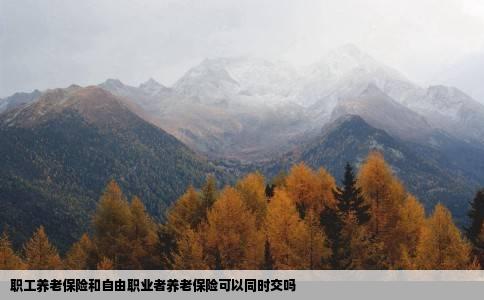 职工养老保险和自由职业者养老保险可以同时交吗