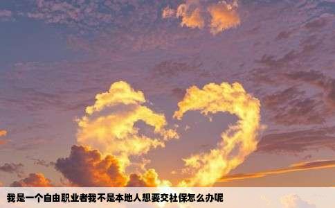 我是一个自由职业者我不是本地人想要交社保怎么办呢