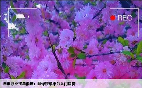 自由职业接单渠道：翻译接单平台入门指南