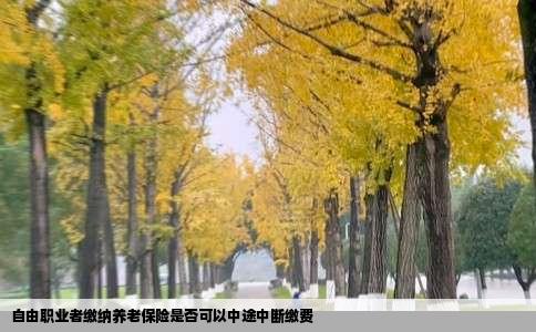 自由职业者缴纳养老保险是否可以中途中断缴费