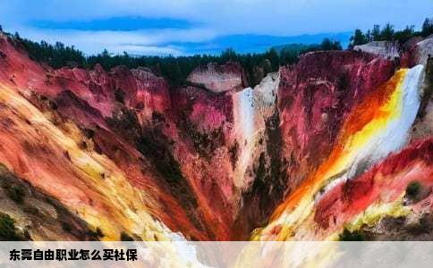 东莞自由职业怎么买社保