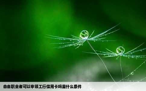 自由职业者可以申领工行信用卡吗需什么条件