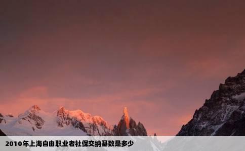 2010年上海自由职业者社保交纳基数是多少