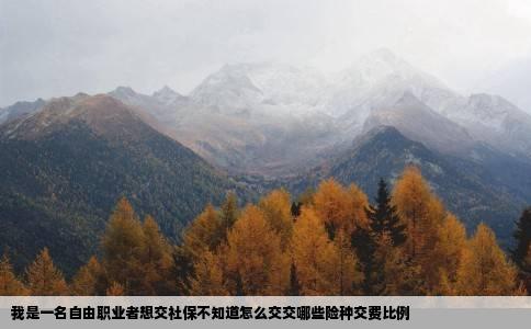 我是一名自由职业者想交社保不知道怎么交交哪些险种交费比例